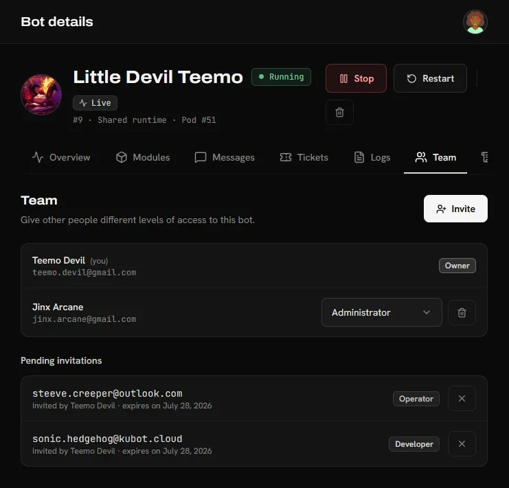 Team roles and permission levels for a hosted Discord bot